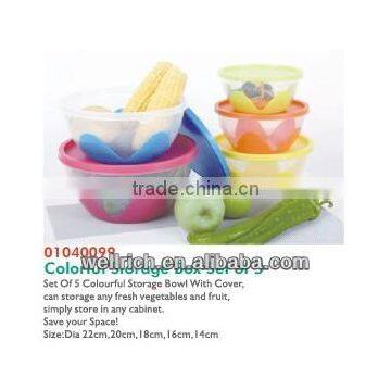 01040099 Colorful Storage Box Set of 5
