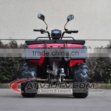 2015 Promotional Adult Fast Speed Cheap Chinese ATV (AT2009) photo-6