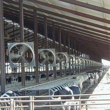 Hanging Type Exhaust Fan Cattle Farm