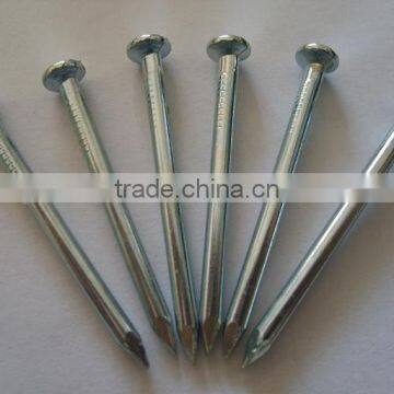 Guangzhou Supplier High Strengthen Galvanized Concrete Nail photo-2