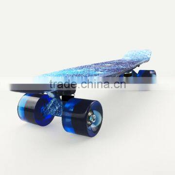 HSJ18 Wellshow Sport Professional Speed Complete longboard wholesale