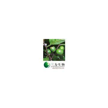 13% total phytosterols Pygeum Africanum extract