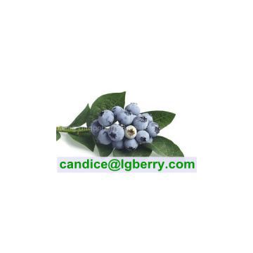 (HACCP) 100% Pure Natural Blueberry Pterostilbene