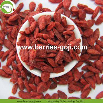 Factory Supply Dried Ningxia Goji Berry