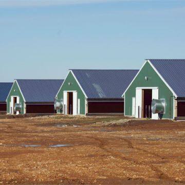 China Steel Structure Prefab Poultry House Poultry Farming