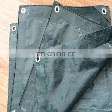 PE material custom coated tarpaulin from China,high density pe tarpaulin,heat resistant plastic sheet from feicheng haicheng