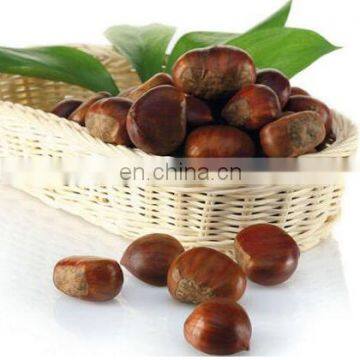 Stainless Steel Automatic Soybean Chestnut Seeds Processing Opening Machine photo-7