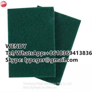 Kitchen Cleaning Nylon Scouring Pad