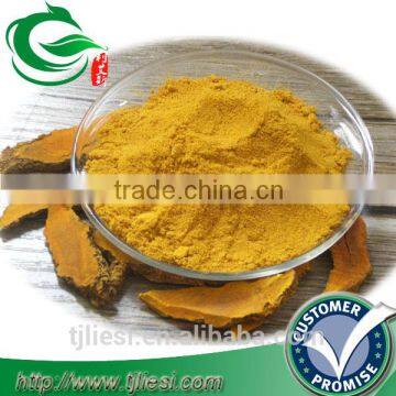 supply tumeric powder for pungent spice