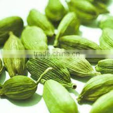 Best quality Food Grade Cardamom for sales and export