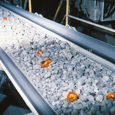 Heat Resistant Conveyor Belt / EP Conveyor Belt/ Conveyor Belt photo-4