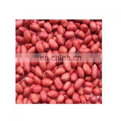 Hot sales high quality dried whole type blanched peanut white peanuts groundnut kernel