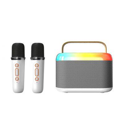 Smart Family Singing Speakers RGB LED Lighting OEM ODM Mic Portable Active Y3 Conference Speech DSP HD Karaoke Speaker With Mic