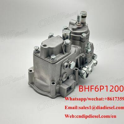 Weifu Fuel Injection Pump Governor BHF6P120056 for Doosan