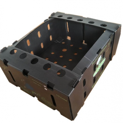 Corrugated PP Box, foldable coroplast box