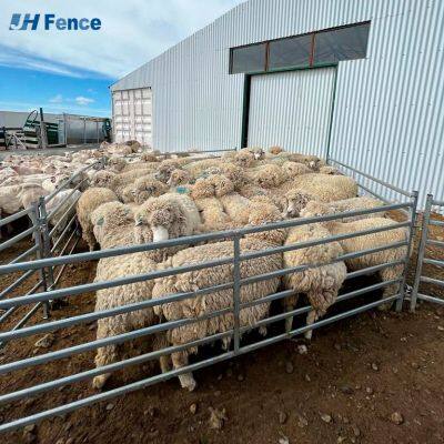 Gabarit de fils soudés robuste en PVC vert enduit. Cadre en acier galvanisé de 6 pieds. Clôture de sécurité écologique anti-rongeurs pour usage agricole.