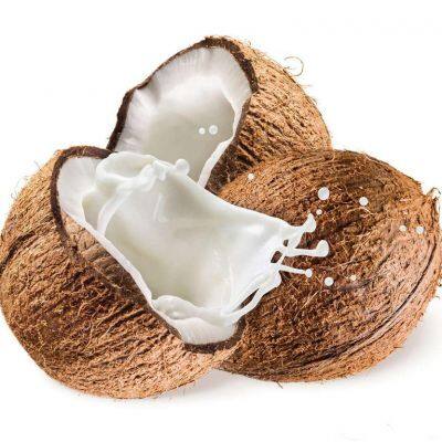 Линия по производству УБП кокосового молока/машина для извлечения кокосового молока