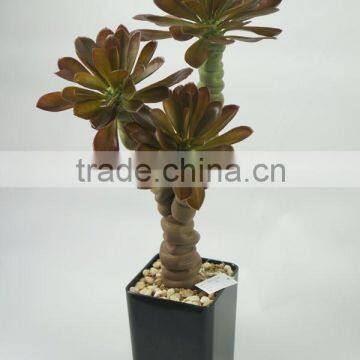 Indoor Decorative Artificial Plants Succulent Plants With Big Leaves photo-2