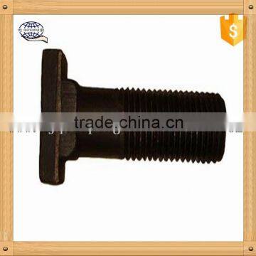 Custom Non-standard Screw T Bolt