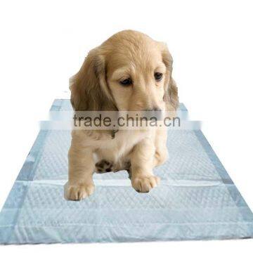 Puppy training pad