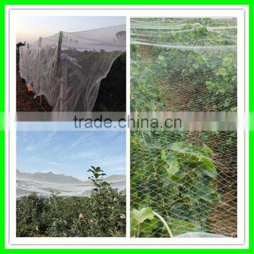 Suntex Anti-hail Net / Windbreak Net / HDPE Agricultural Net photo-2