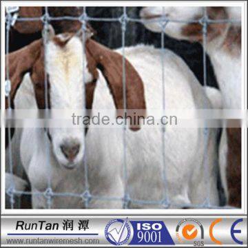 China manufacturer cheap galvanized goat fence( OEM&ODM )