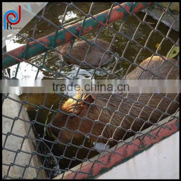 The enclosures, Playground, grassland used chain link fence, Vinyl coated steel China Link Fence Fabric