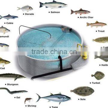 RAS/Recirculation aquaculture system layout design/indoor fish farming design
