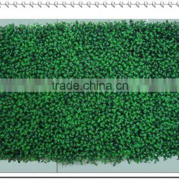 Synthetic Grass