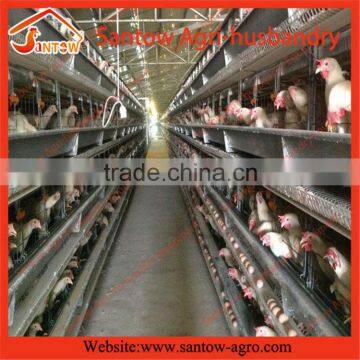 2015 cheap intdoor automatic equipment for poultry farms