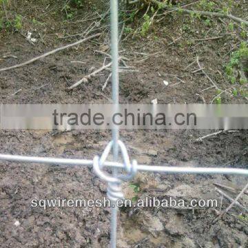 Hot sales high quality Field Fence