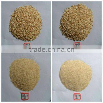 Supply dried garlic granules