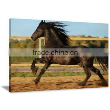 Black Horse Oil Canvas Printing Art For Livingroom and Bedroom Decor DWYS57