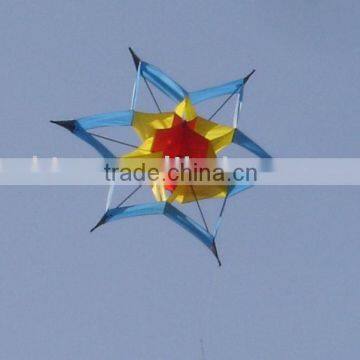 3d kite