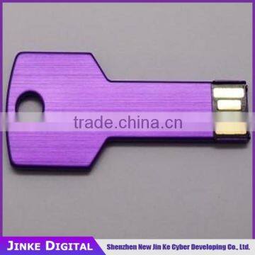 LOGO Printed Key Metal USB Flash Drive