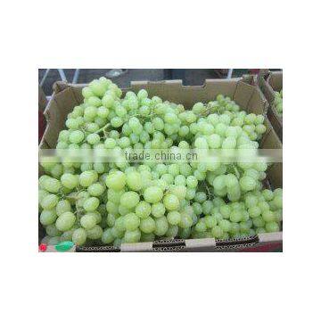 FResh Grapes