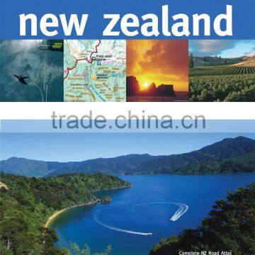 DRY/OT/FL/FR container Freight services from china to New Zealand