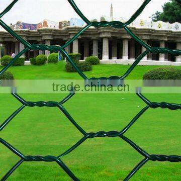 Anping Factory chicken coop galvanized hexagonal wire mesh