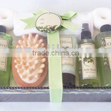 Bath gift set(body lotion,shower gel, bubble bath,body spray,bath fizzer)