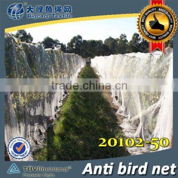 HDPE anti-birds net / 20102-50 (factory export)