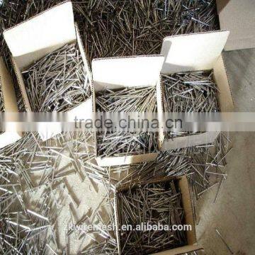 Common Round Nail/ Wire Nails/wood Nails +86 15132140964 Wechat/whatsapp photo-2