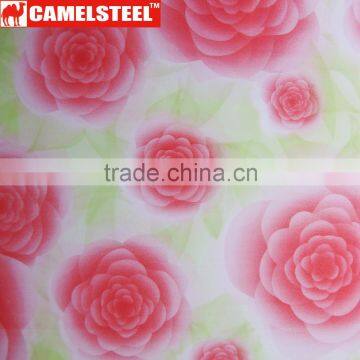 High Quality Customized Design Camelsteel Decorative Steel Coil