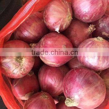 China Origin Onion Ton Market Price for Red Onion