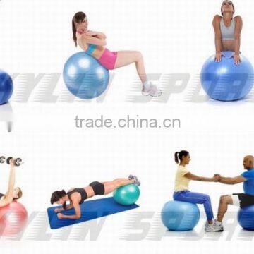 65CM Fitness Gym Ball