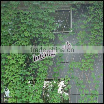 Stainless Steel cable mesh Webnet green screen for plant
