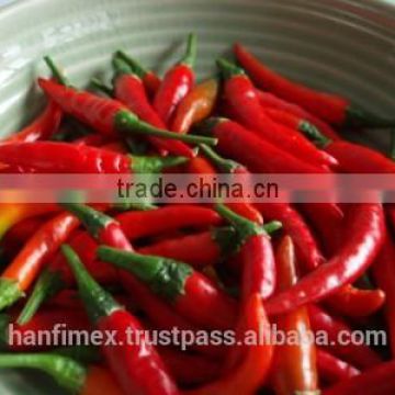 HACCP/HALAL/KOSHER/FDA RED DRY CHILLI