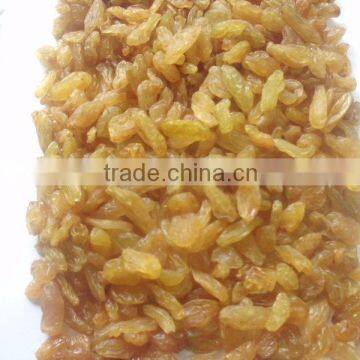 GOLDEN RAISIN (NEW CROP) photo-2