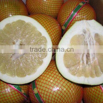 New crop honey pomelo names fruits arabic