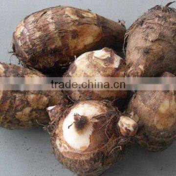 sale potato taro cheap price