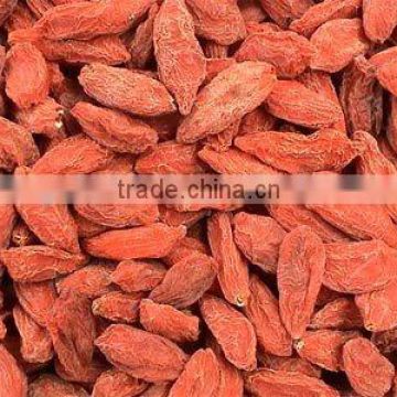 Premium quality -Goji berry